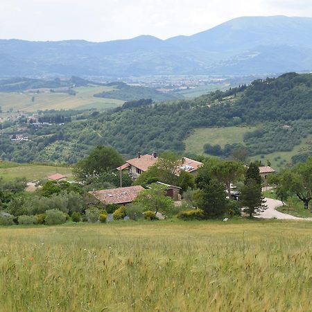 Agriturismo Terra Selvatica Valfabbrica Exterior photo