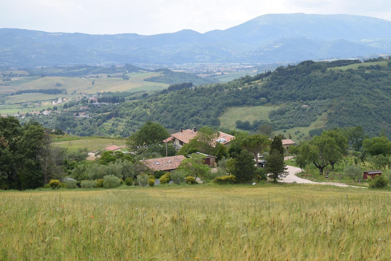 Agriturismo Terra Selvatica Valfabbrica Exterior photo